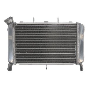 RADIATOR YAMAHA FZ6 600 2007 2009