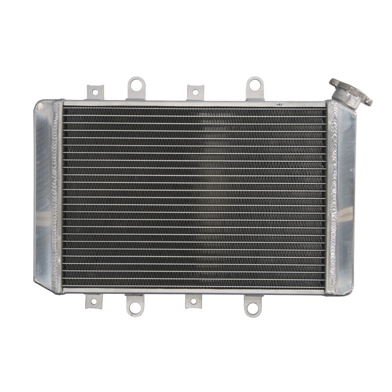Radiator Racire ATV YAMAHA YFM 700 Grizzly 2007-2008 APA - imagine 2