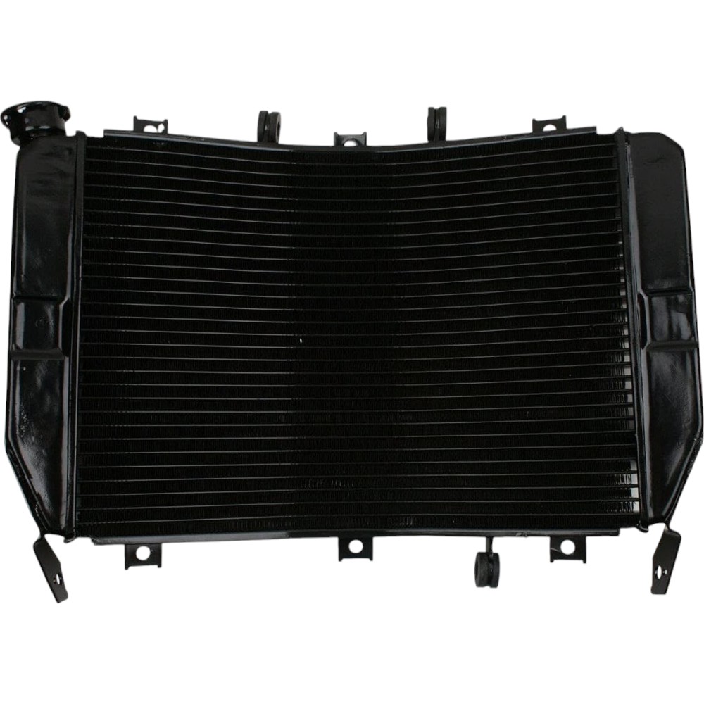 Radiator Kawasaki Ninja ZX6R ZX636 2003-2004